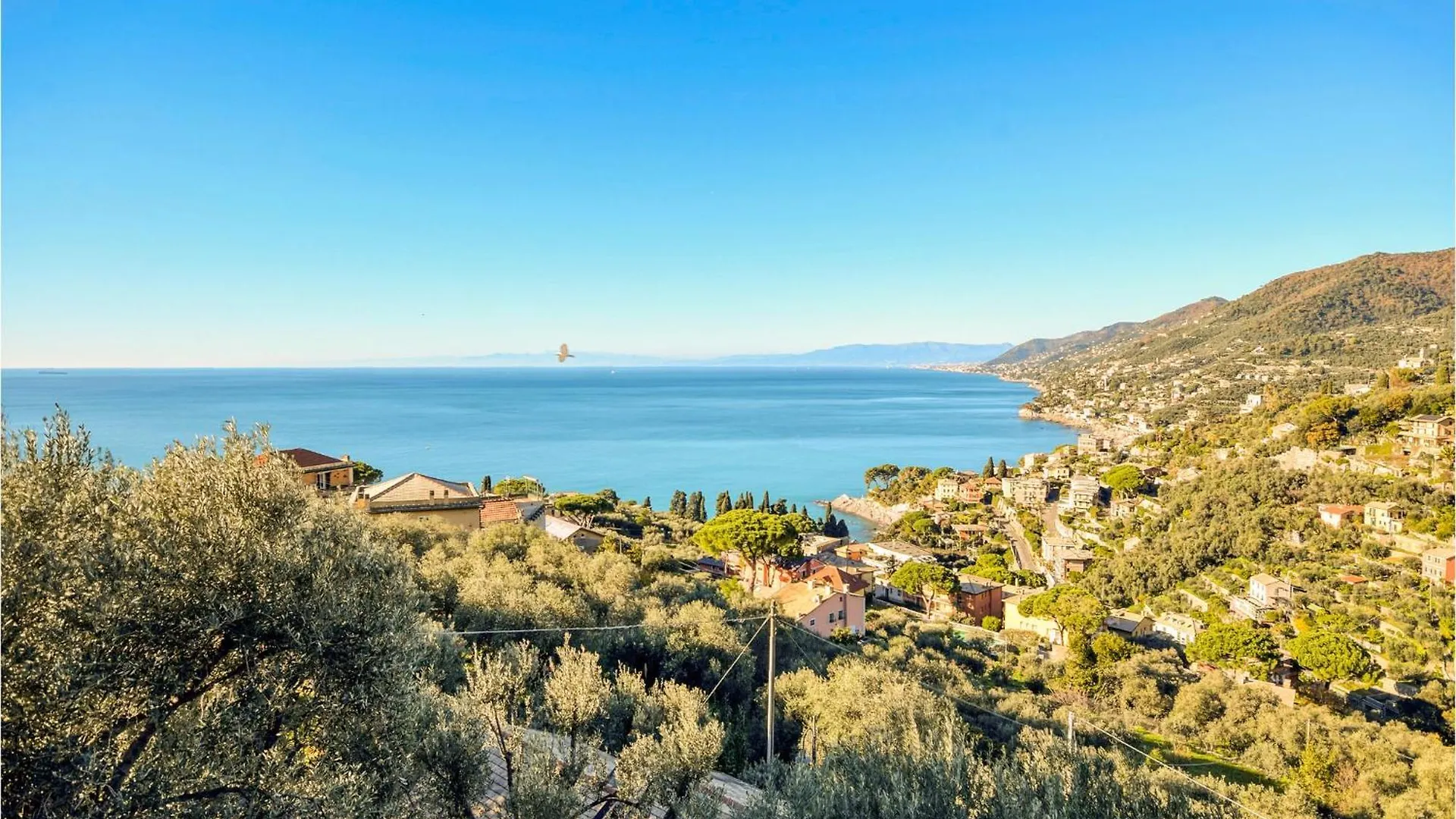 Ferienhaus Villa Eolo Camogli